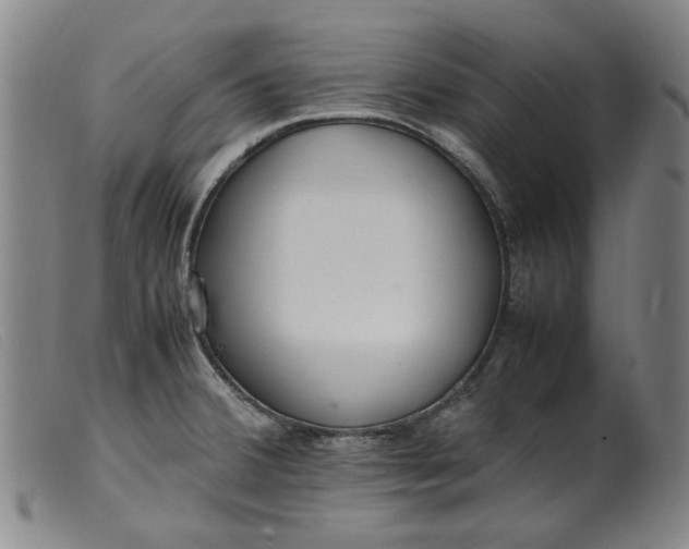 X0000099401380200805221845