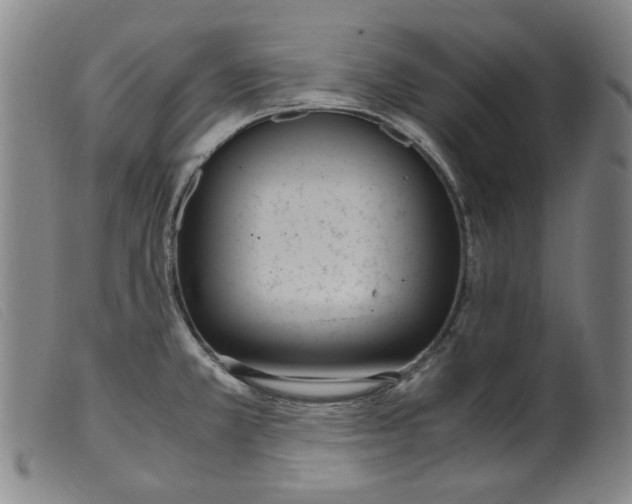 X0000099401381200805221845