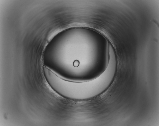 X0000099401382200805221845