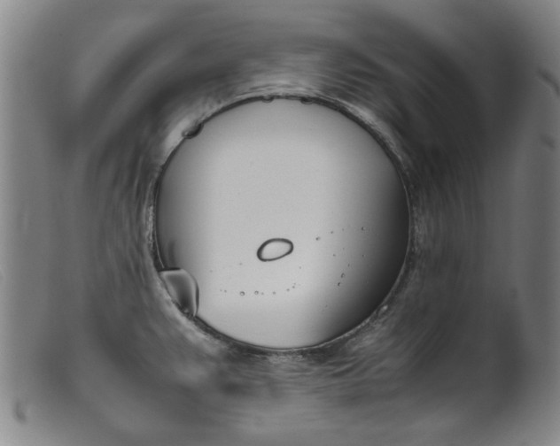 X0000099401383200805221845