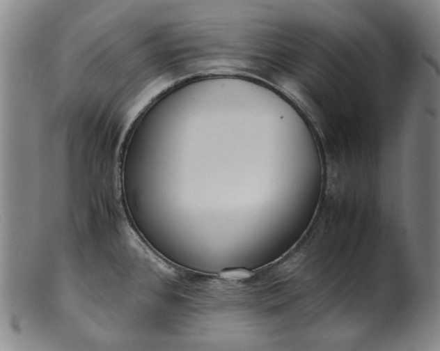 X0000099401384200805221845