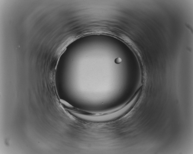 X0000099401385200805221845