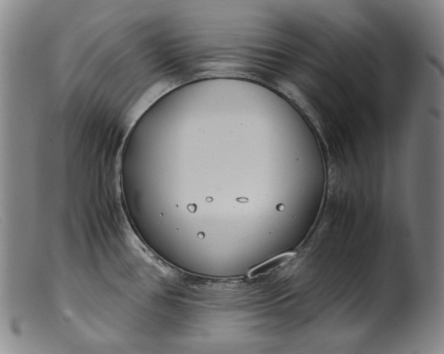 X0000099401386200805221845