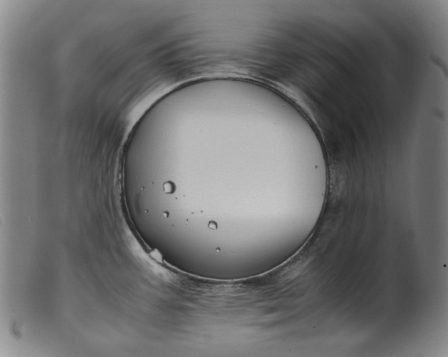 X0000099401387200805221845