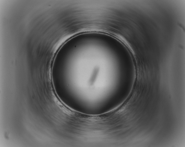 X0000099401388200805221845