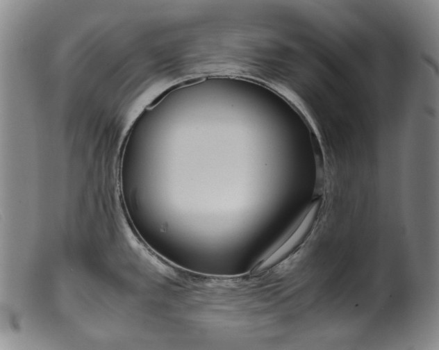 X0000099401389200805221845