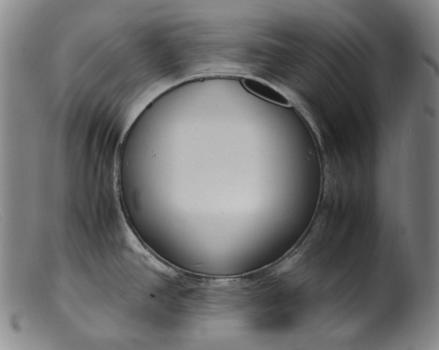 X0000099401390200805221845