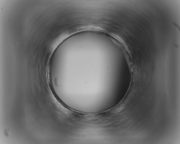 X0000099401391200805221845