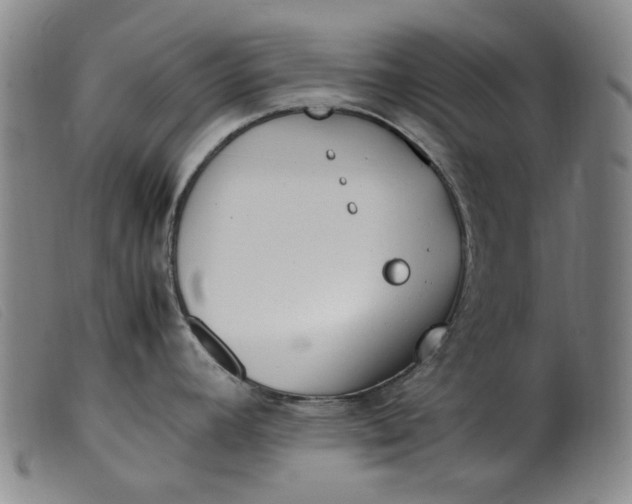 X0000099401392200805221845