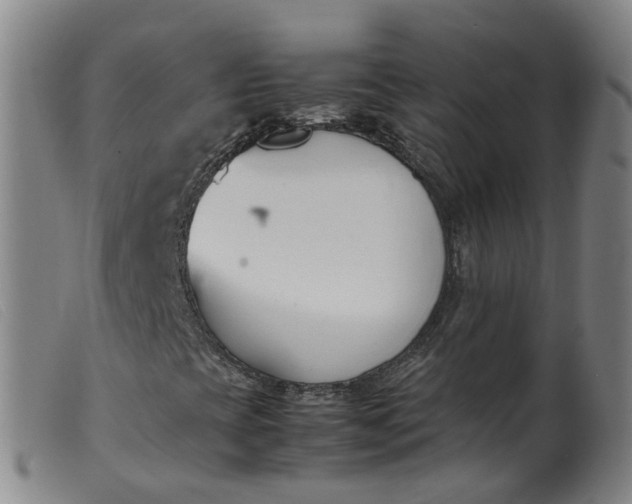 X0000099401393200805221844