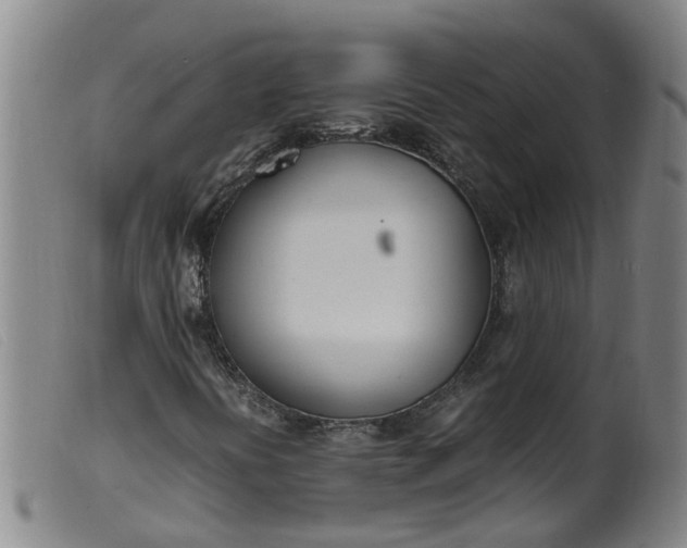 X0000099401394200805221844