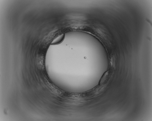 X0000099401396200805221844