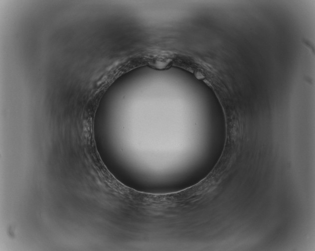 X0000099401397200805221844