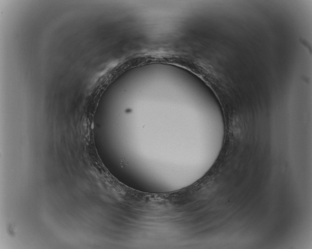 X0000099401398200805221844