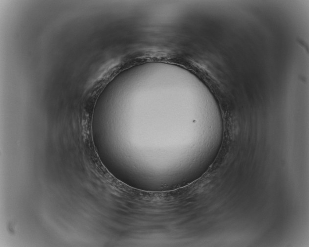 X0000099401399200805221844