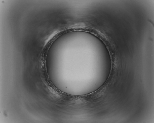 X0000099401400200805221844