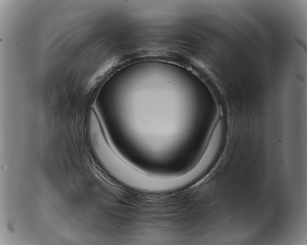 X0000099401403200805221844