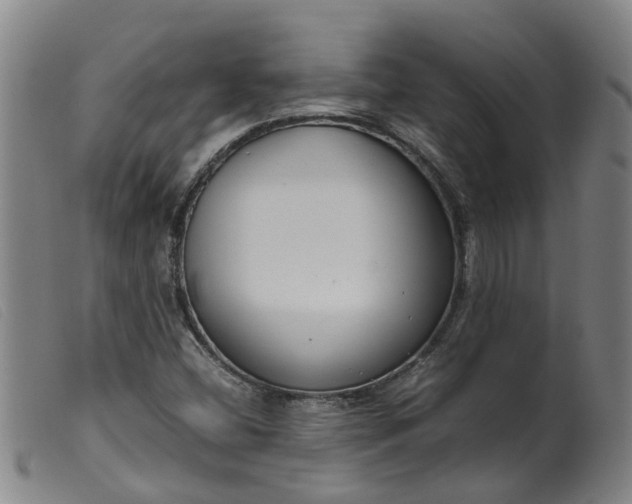 X0000099401404200805221844