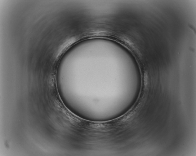 X0000099401405200805221844