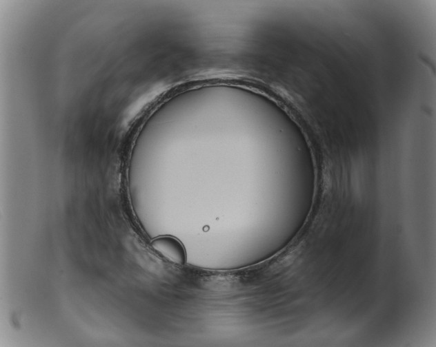 X0000099401406200805221844