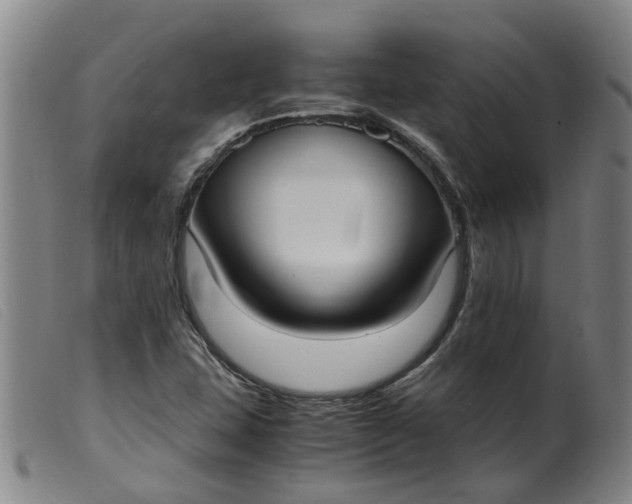 X0000099401407200805221844