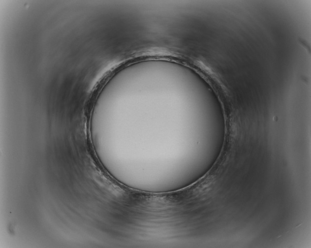 X0000099401408200805221844