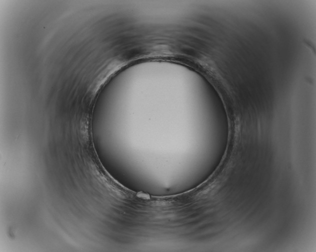 X0000099401409200805221844