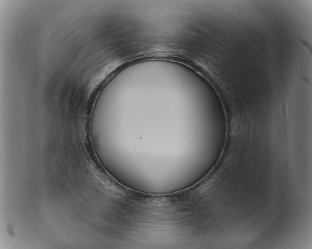 X0000099401410200805221844