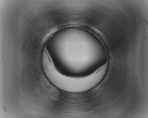 X0000099401411200805221844