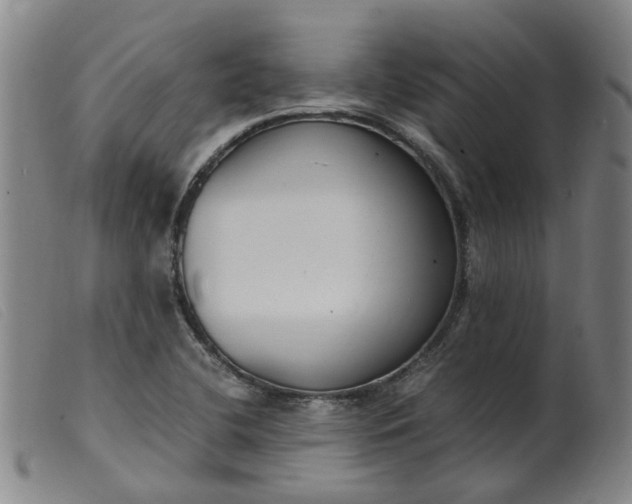 X0000099401412200805221844