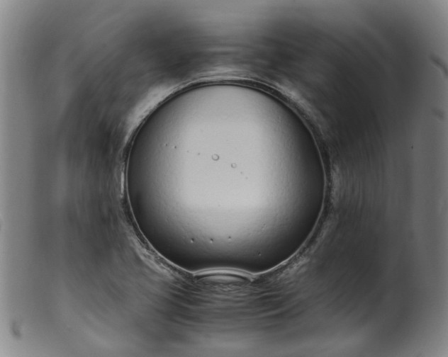 X0000099401413200805221844