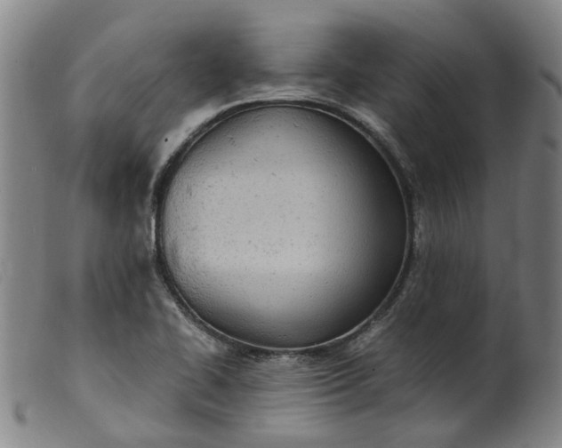 X0000099401414200805221844