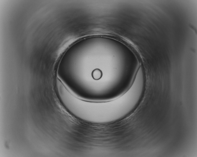 X0000099401415200805221844