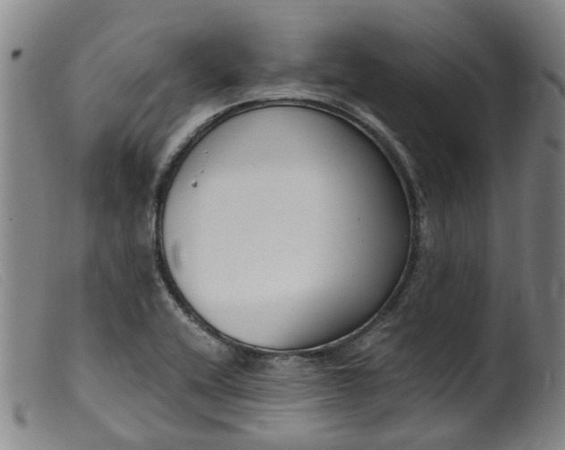 X0000099401416200805221844