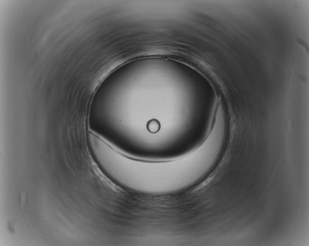 X0000099401417200805221844