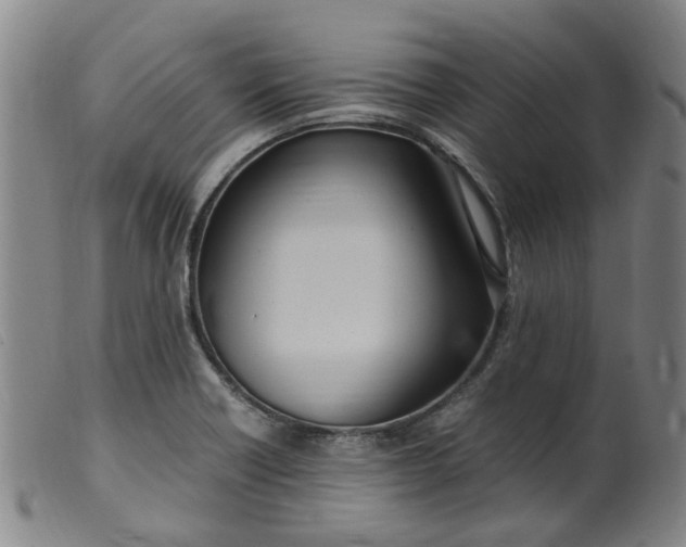 X0000099401418200805221844