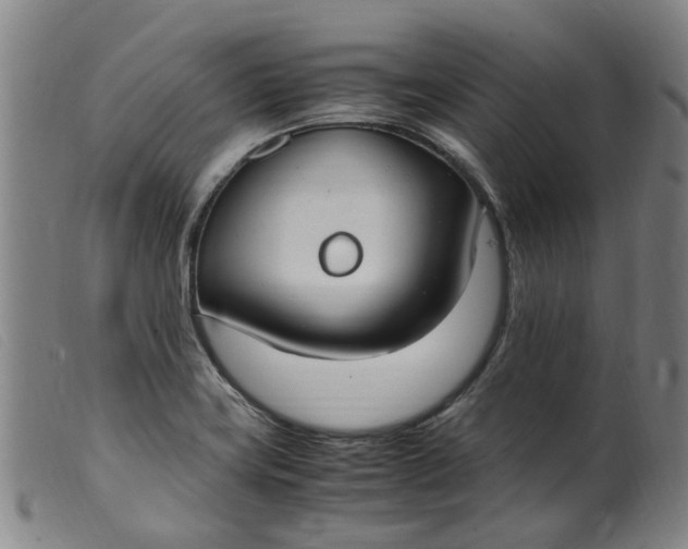 X0000099401419200805221845