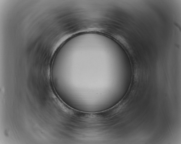 X0000099401420200805221845