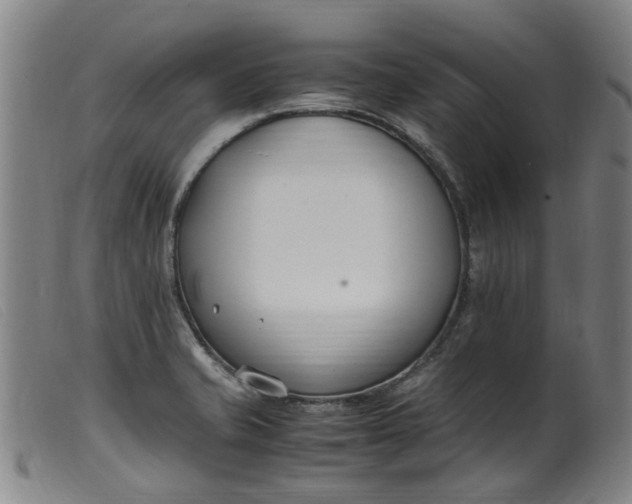 X0000099401421200805221845