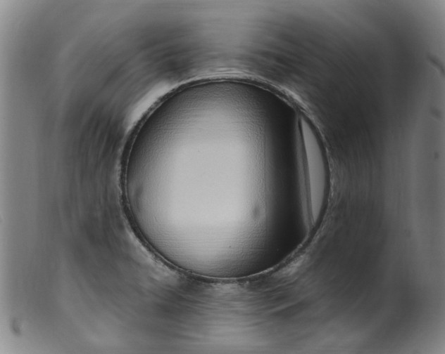 X0000099401422200805221845