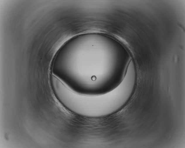 X0000099401423200805221845