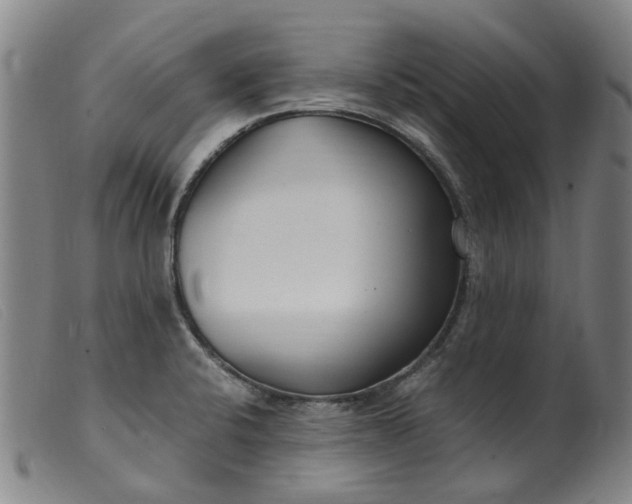 X0000099401424200805221845