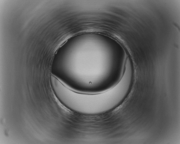 X0000099401425200805221845