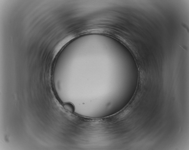 X0000099401426200805221845