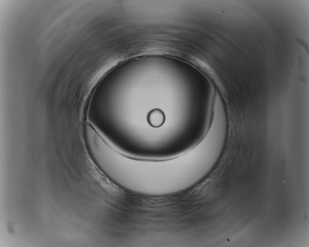 X0000099401427200805221845