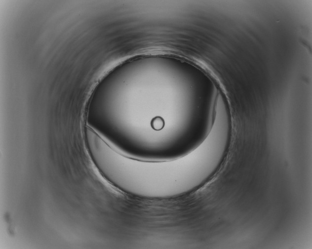 X0000099401429200805221845