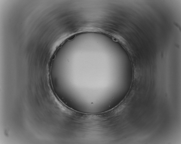 X0000099401430200805221845