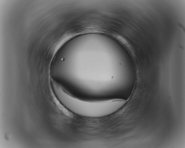 X0000099401431200805221845