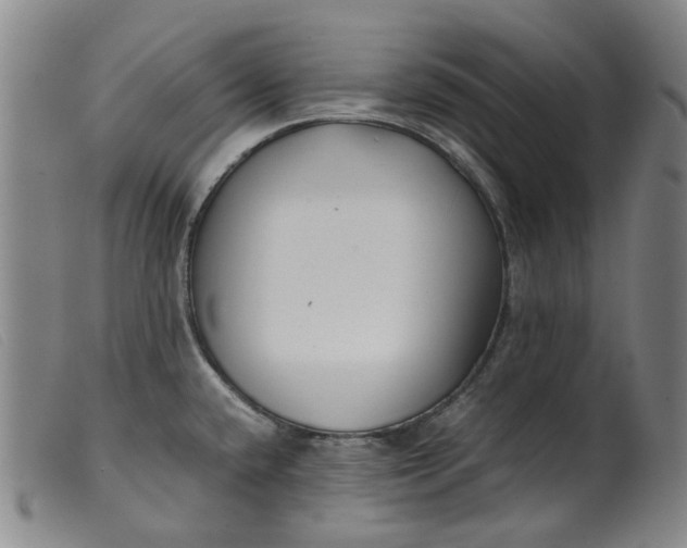 X0000099401432200805221845