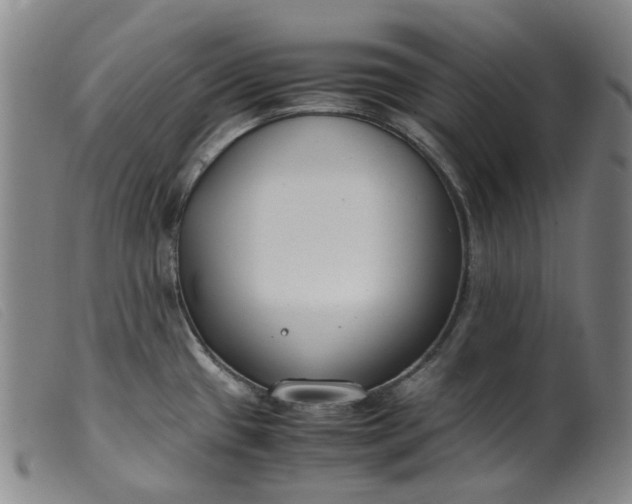 X0000099401433200805221845